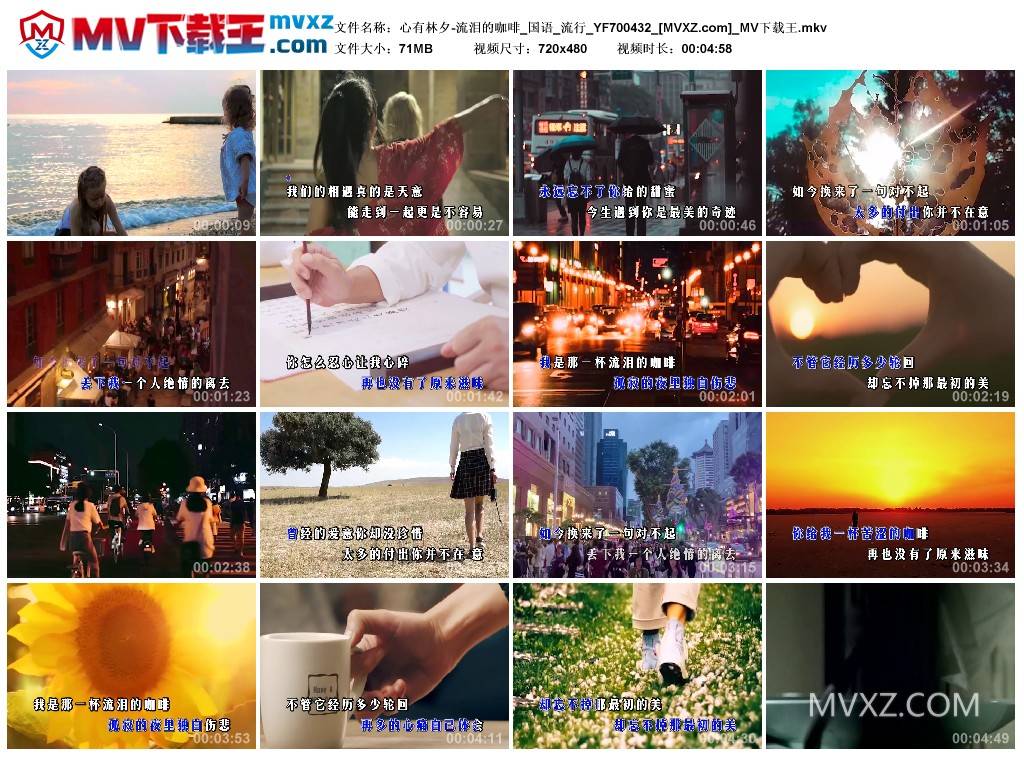 心有林夕-流泪的咖啡_国语_流行_YF700432